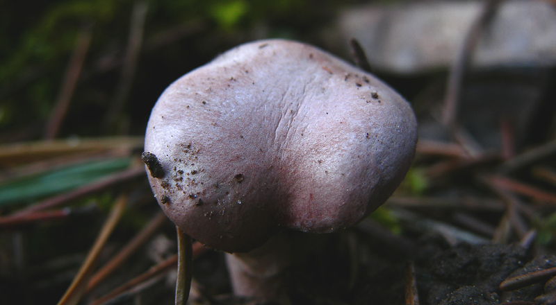 Facili,meno facili...per allenamento...